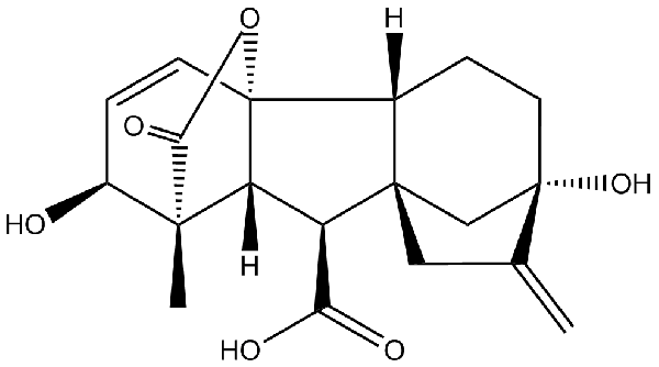 赤霉素GIBBERELLIC ACID，居然有這么神奇？